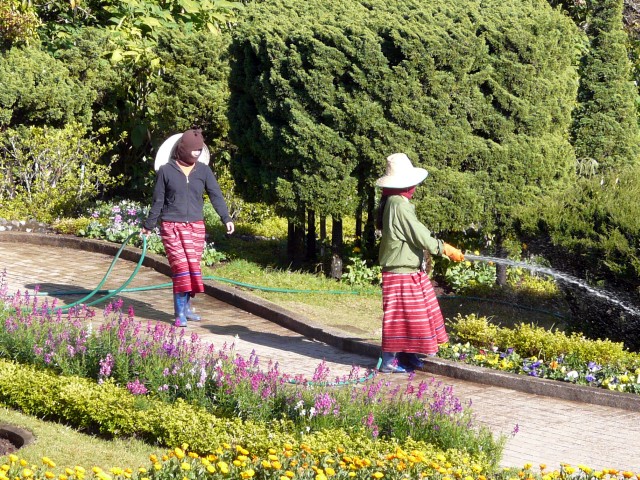 hill tribe women gardeners